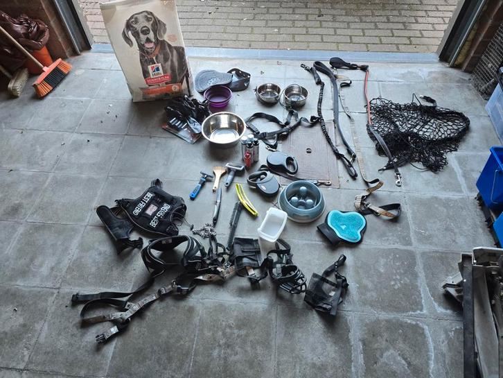 Lot de differente accessoirs pour grand chien, Motos, Pièces | Yamaha, Enlèvement