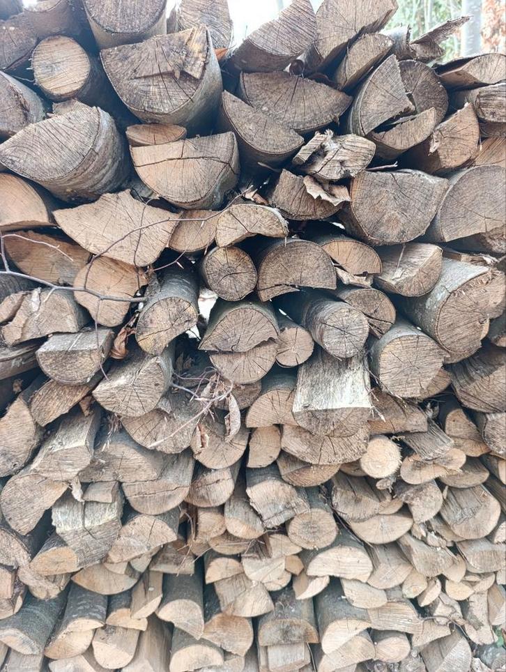 Bois de chauffage sec, Jardin & Terrasse, Bois de chauffage, Bûches, Hêtre, 3 à 6 m³