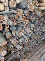 brandhout, Enlèvement