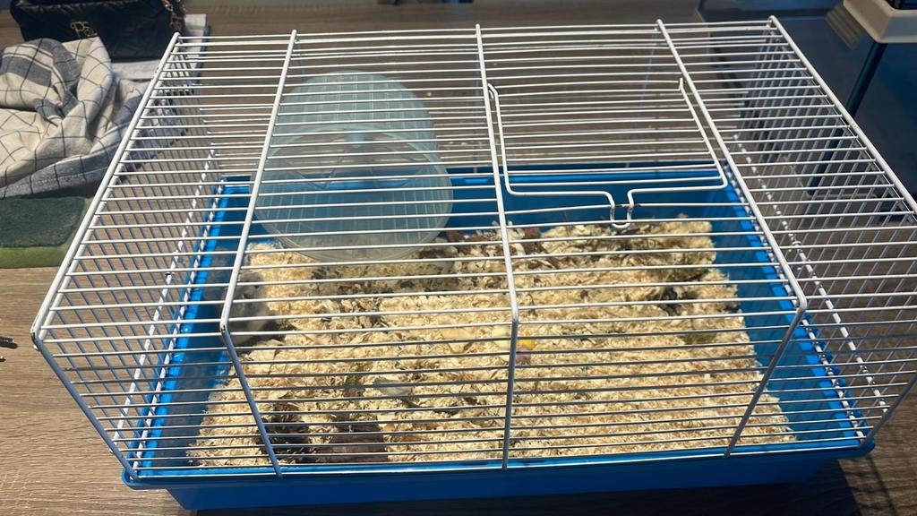 Hamster kooien + spullen  en buizen, Ophalen, Konijn