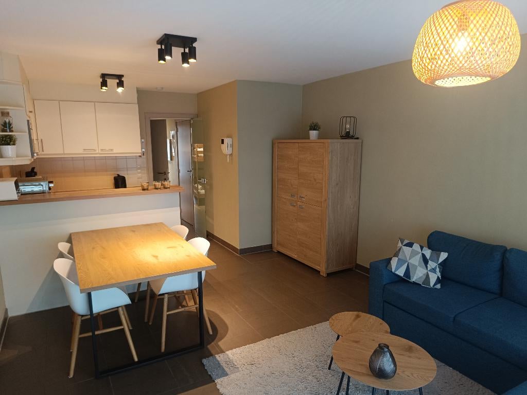 Appartement vakantieverhuur Nieuwpoort-Bad 100m v zee, Propriétaire, Ville, Anvers et Flandres, 1 chambre