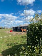 Stal en weidegang / pensionstal, Dieren en Toebehoren, Weidegang, 2 of 3 paarden of pony's