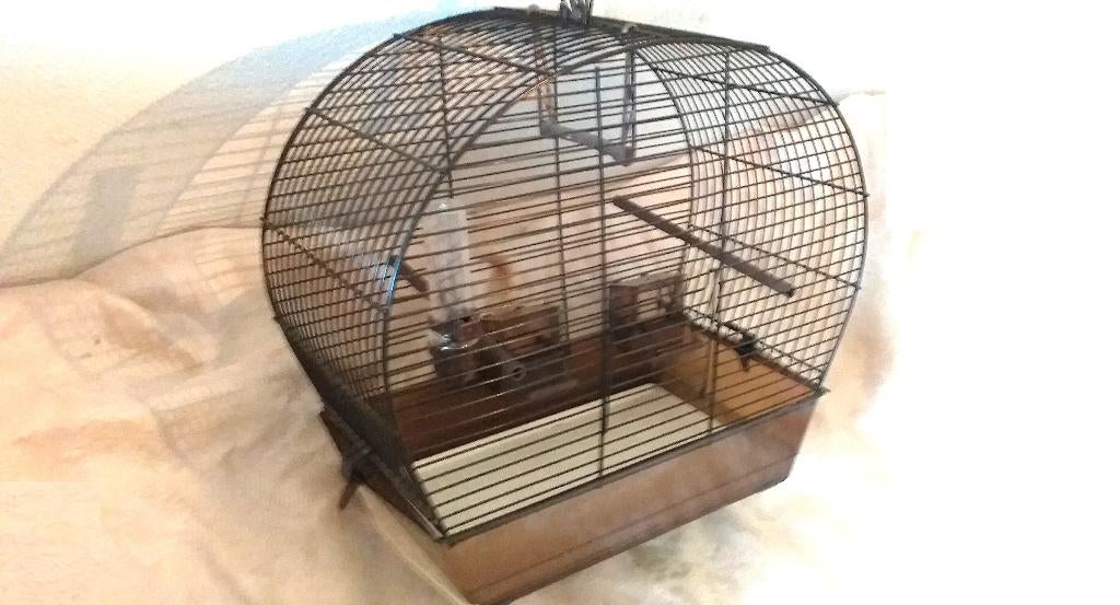 Cages  complet, Animaux & Accessoires, Envoi