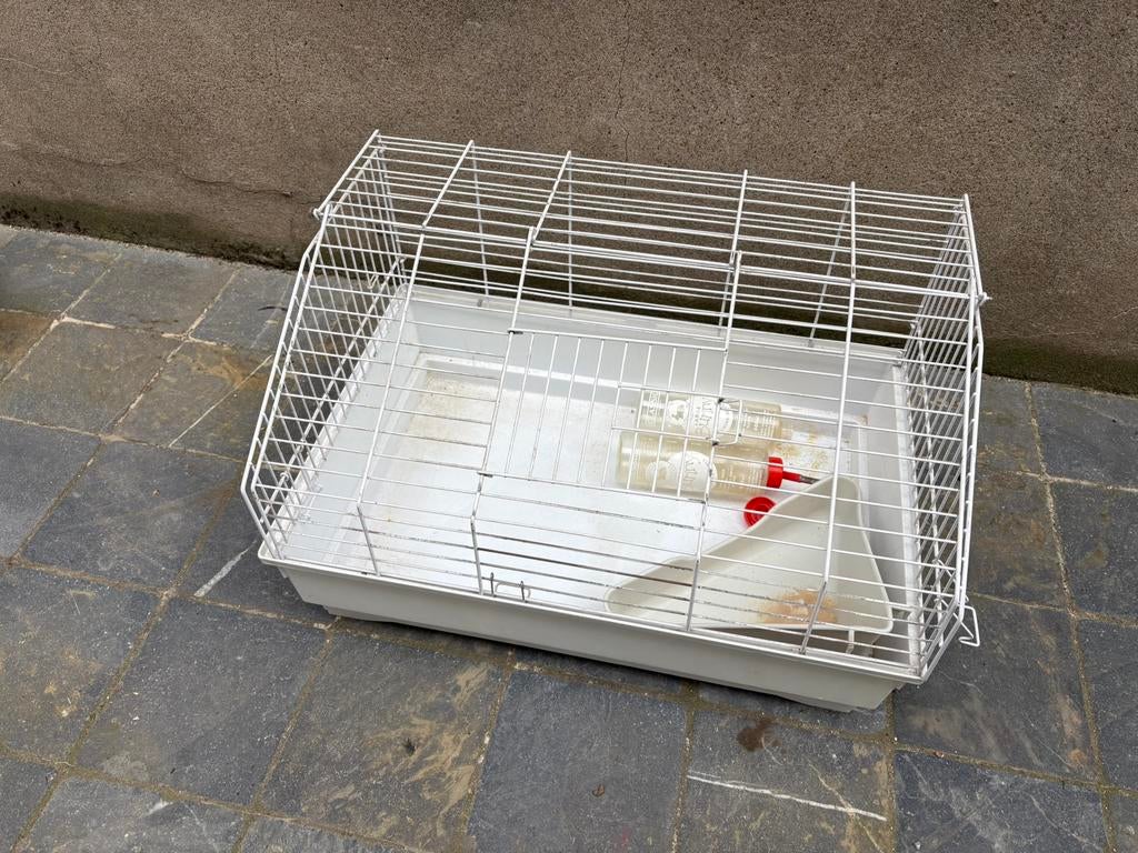 Kooi voor hamster, Kooi, Gebruikt, Minder dan 75 cm, Hamster