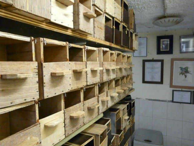 Nestkastjes enz., Dieren en Toebehoren, Vogels | Toebehoren, Gebruikt, Kooi-accessoires, Ophalen