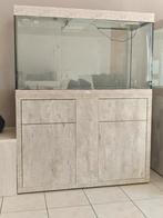 Aquarium aquatlantis fusion 120x50x70 ongeveer 400 liter, Dieren en Toebehoren, Ophalen, Zo goed als nieuw, Leeg aquarium, Aquatlantis