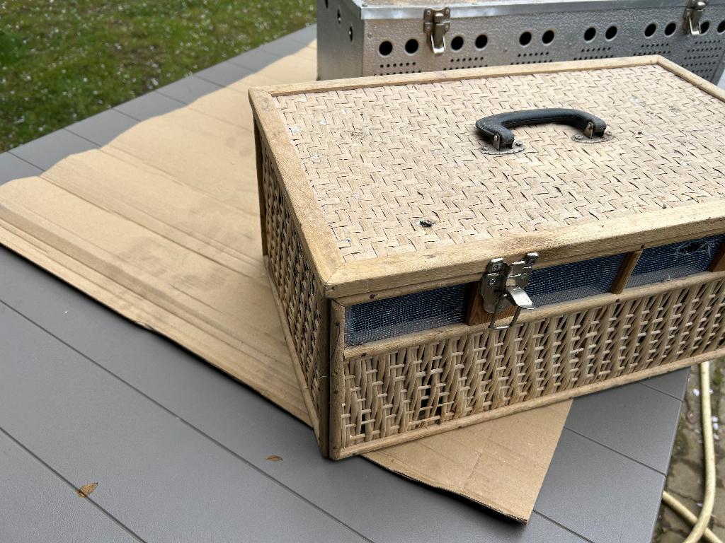 Transport mand duiven