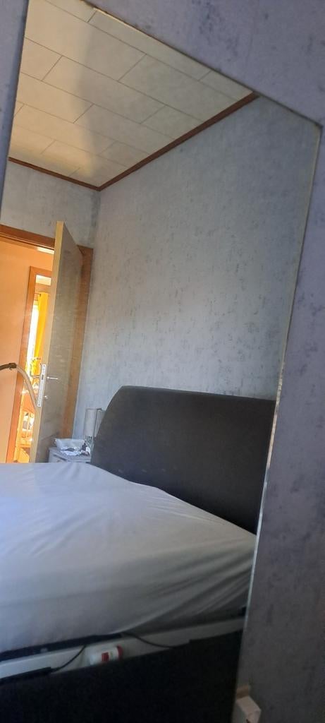 Spiegel lang model, Huis en Inrichting, Woonaccessoires | Spiegels, Ophalen