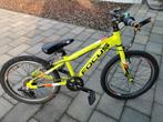 Vélo 20 pouces pour enfants Focus, Vélos & Vélomoteurs, Enlèvement ou Envoi, Comme neuf, 20 pouces ou plus, Focus