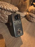 Looper ditto tc electronic, Musique & Instruments, Effets