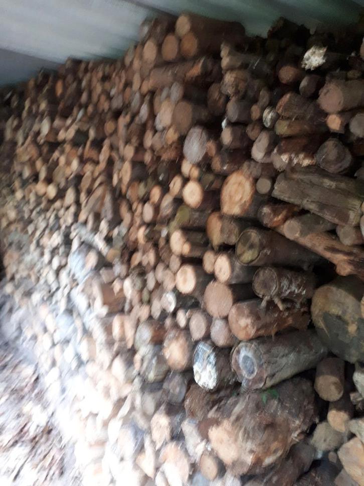 Droog stookhout, Tuin en Terras, Brandhout, Stammen, Overige houtsoorten, 6 m³ of meer, Ophalen