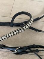 Hoofdstel trens - paard, Dieren en Toebehoren, Paarden en Pony's | Hoofdstellen en Tuigage, Ophalen of Verzenden, Gebruikt, Recreatie