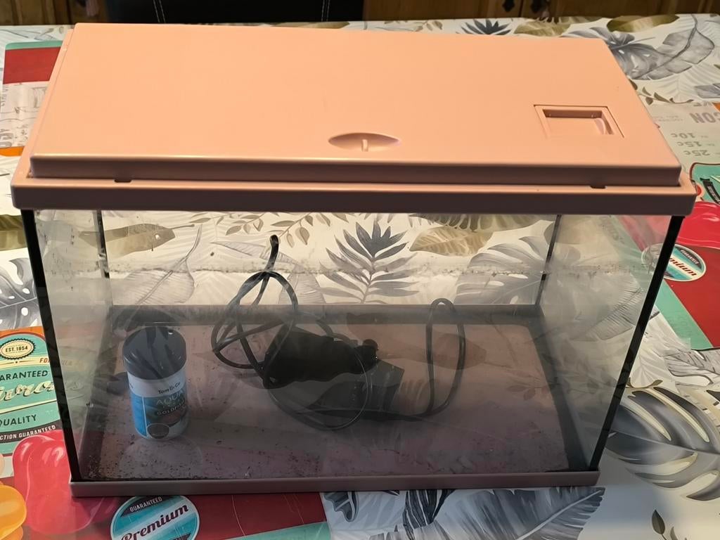 Aquarium, Enlèvement