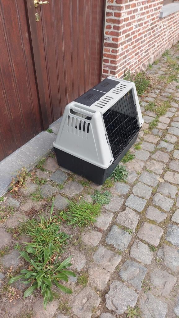 Banc de transport pour chiens IATA extra large - banc volant, Animaux & Accessoires, Maisons pour chiens, Enlèvement