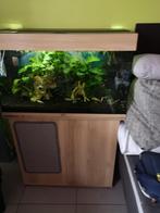 Juwel Aquarium 125l, Dieren en Toebehoren, Ophalen, Gebruikt, Gevuld zoetwateraquarium