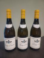 Lot Domaine Leflaive : Auxey-Duresses 2019,2020, Rully 2020, Ophalen of Verzenden, Zo goed als nieuw
