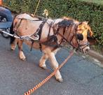 Mentuig ideal Nylon mini, Zo goed als nieuw, Marathonwagen, Pony