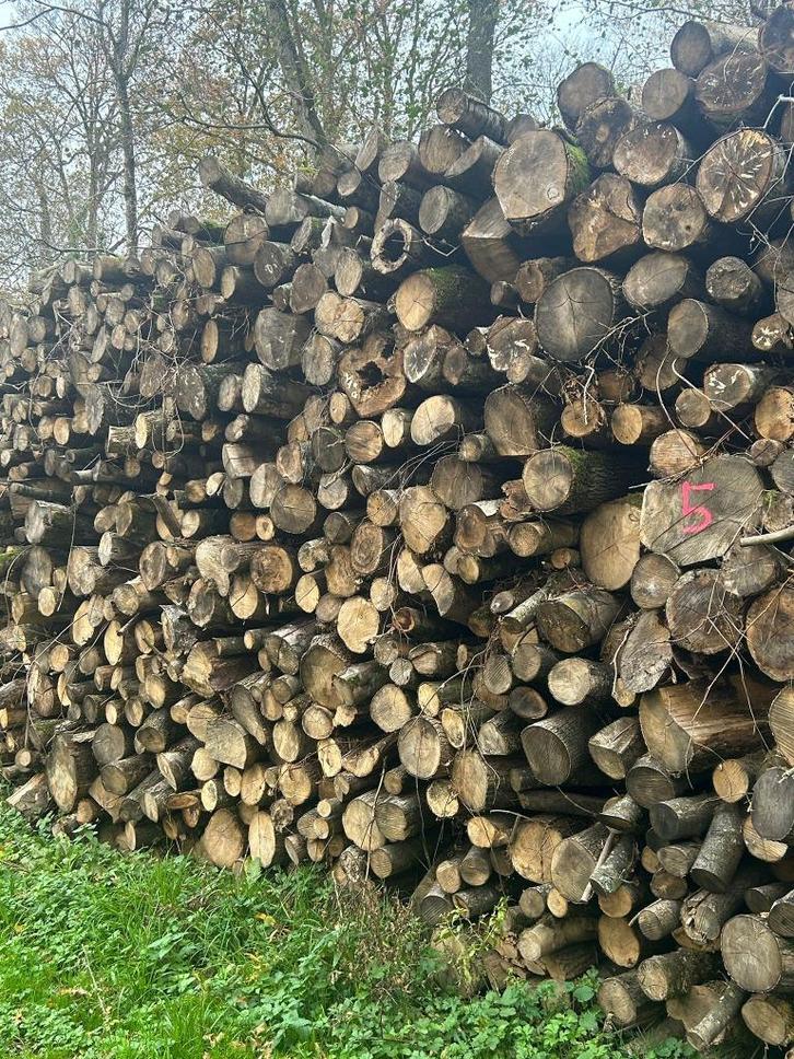 hardhout brandhout stammen 2 m + vers gezaagd en gekloven, Tuin en Terras, Brandhout, Stammen, Beukenhout, 6 m³ of meer, Ophalen of Verzenden
