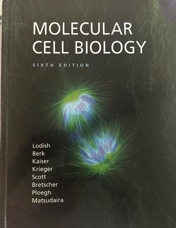 Molecular Cell Biology - sixth edition  beschikbaar voor biedingen