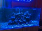 URGENT Aquarium marin 350L Blue marine 600€, Enlèvement