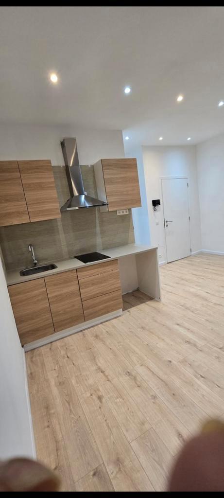 Recent gerenoveerd appartement, Immo, Appartements & Studios à louer