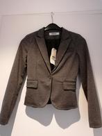 Bruine blazer Only NIEUW, Vêtements | Femmes, Vestes & Costumes, Brun, Taille 34 (XS) ou plus petite, Enlèvement ou Envoi, Manteau