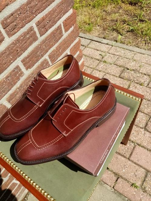 Heren schoenen Ambiorix Mt44,5, Kleding | Heren, Schoenen, Nieuw, Veterschoenen, Bruin, Ophalen of Verzenden
