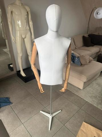 Heren mannequin buste beschikbaar voor biedingen