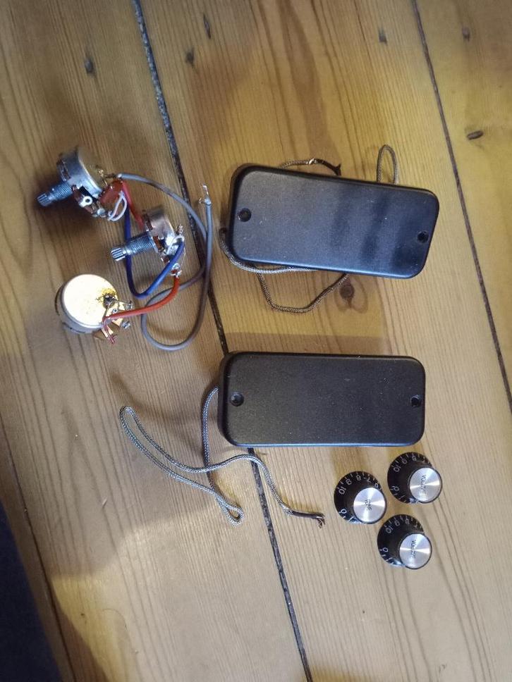 Thunderbird onderdelen, Muziek en Instrumenten, Snaarinstrumenten | Gitaren | Bas, Ophalen