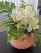 Plantje in kunststof, Ophalen, Overige soorten, In pot