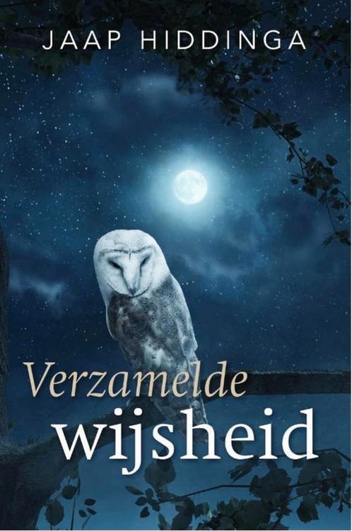 Jaap Hiddinga - Verzamelde wijsheid, Boeken, Esoterie en Spiritualiteit, Zo goed als nieuw, Ophalen of Verzenden