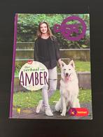 Leen Claes - Het verhaal van Amber, Ophalen of Verzenden, Zo goed als nieuw, Leen Claes; Jan Ruysbergh