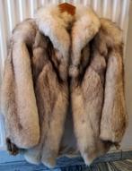 Vintage blauwvos bontjas met luxe kraag – prachtige staat, Kleding | Dames, Jassen | Winter, Ophalen, Zo goed als nieuw