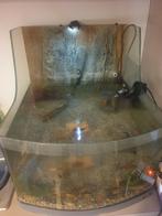 Te koop mooi half open aquarium met ledverlichting !!, Zo goed als nieuw, Ophalen, Gevuld zoetwateraquarium