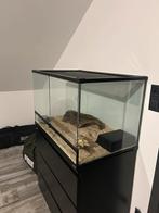 Terrarium 90x45x45 + thermostaat en decor., Dieren en Toebehoren, Ophalen, Zo goed als nieuw