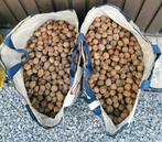 Noix fraîche de cette année sucré