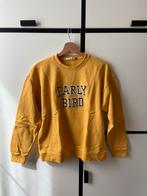 Gele sweater, Kleding | Dames, Ophalen of Verzenden, America Today, Zo goed als nieuw, Maat 36 (S)