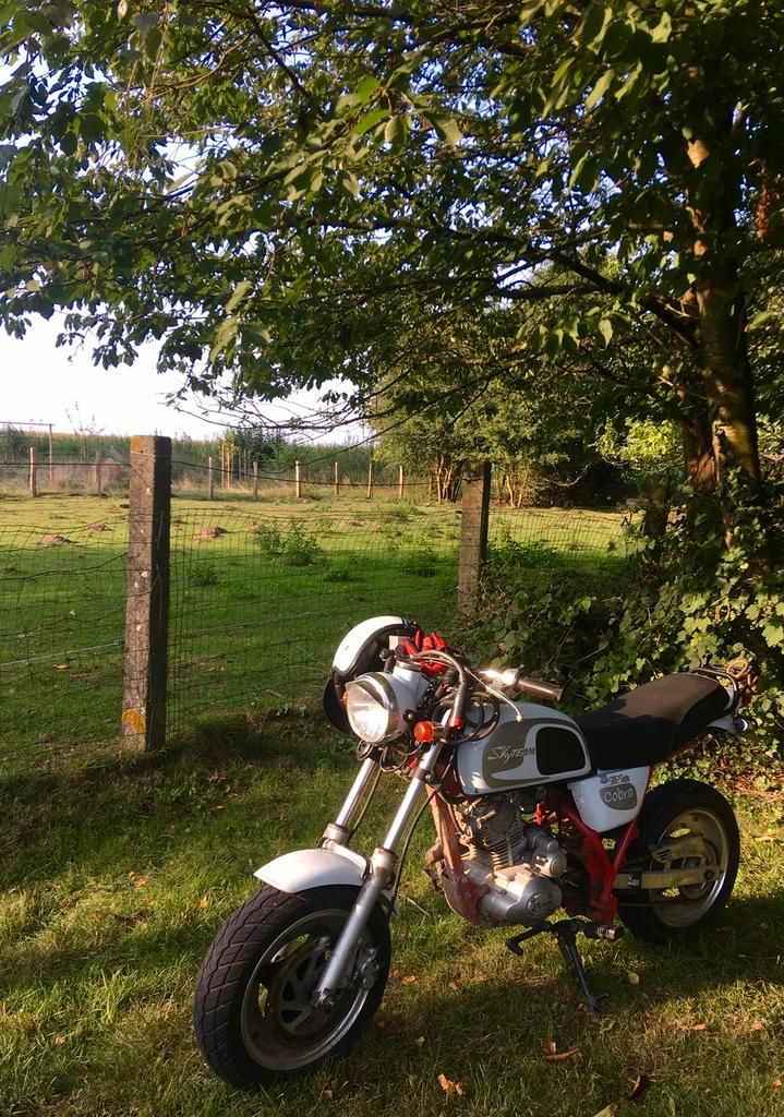 Skyteam Cobra 50cc bromfiets, Fietsen en Brommers, Brommers | Derbi, Nieuw, Klasse B (45 km/u), Ophalen
