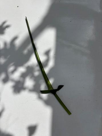 Épée en herbe unique, Enlèvement, Autres, Épée ou sabre