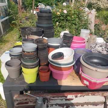 Pots pour semis, fleurs, plantes,.... beschikbaar voor biedingen