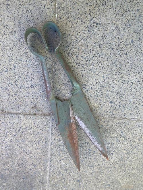 scheerschaar, Dieren en Toebehoren, Overige Dieren-accessoires, Gebruikt, Ophalen