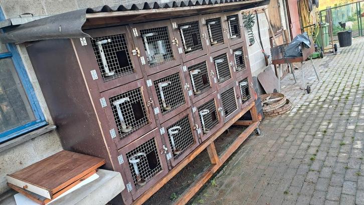Konijnenhok, Dieren en Toebehoren, Knaagdieren en Konijnen | Hokken en Kooien, Gebruikt, Hok, Ophalen