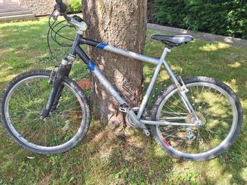 VTT Danskin, Autres marques, Enlèvement, Moins de 45 cm, Hommes
