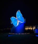 Opblaasbare vlinders huren voor evenementen en festivals, Enlèvement ou Envoi