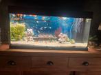 Juwel rio 180, Dieren en Toebehoren, Ophalen, Zo goed als nieuw