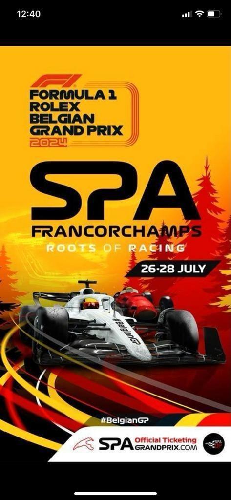 Ticket F1 spa sunday, Tickets & Billets, Événements & Festivals, Une personne