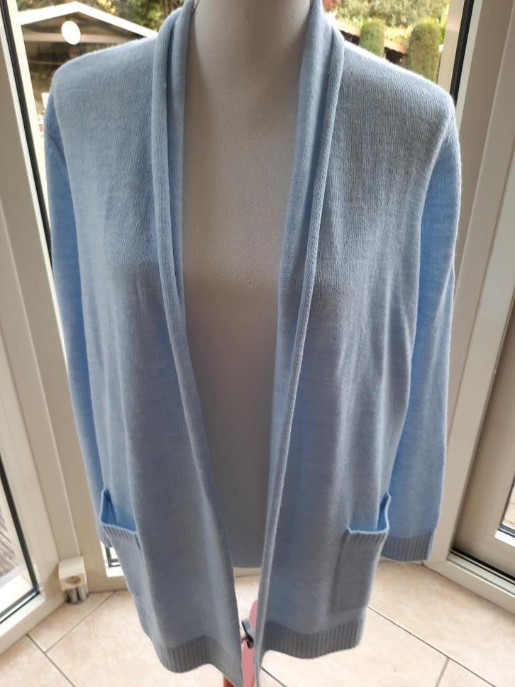 Heerlijk vest GOLDNER - 44, Kleding | Dames, Truien en Vesten, Zo goed als nieuw, Maat 42/44 (L), Blauw, Ophalen of Verzenden