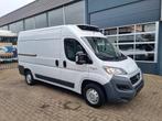 Fiat Ducato 2.3 130 pk Koelwagen Xarios 300 st 230V +20C / -, Voorwielaandrijving, Gebruikt, Euro 6, Wit