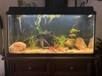 Aquarium met toebehoren, Ophalen, Zo goed als nieuw, Verlichting