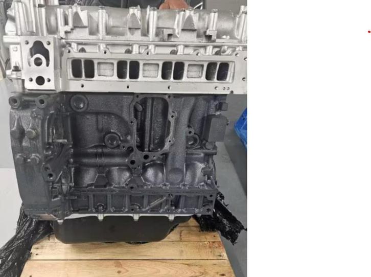 Revisiemotor Fiat  Iveco E6 3.0 F1CE0481 F1CGL411 F1CFL411, Auto-onderdelen, Motor en Toebehoren, Fiat, Gereviseerd, Ophalen of Verzenden